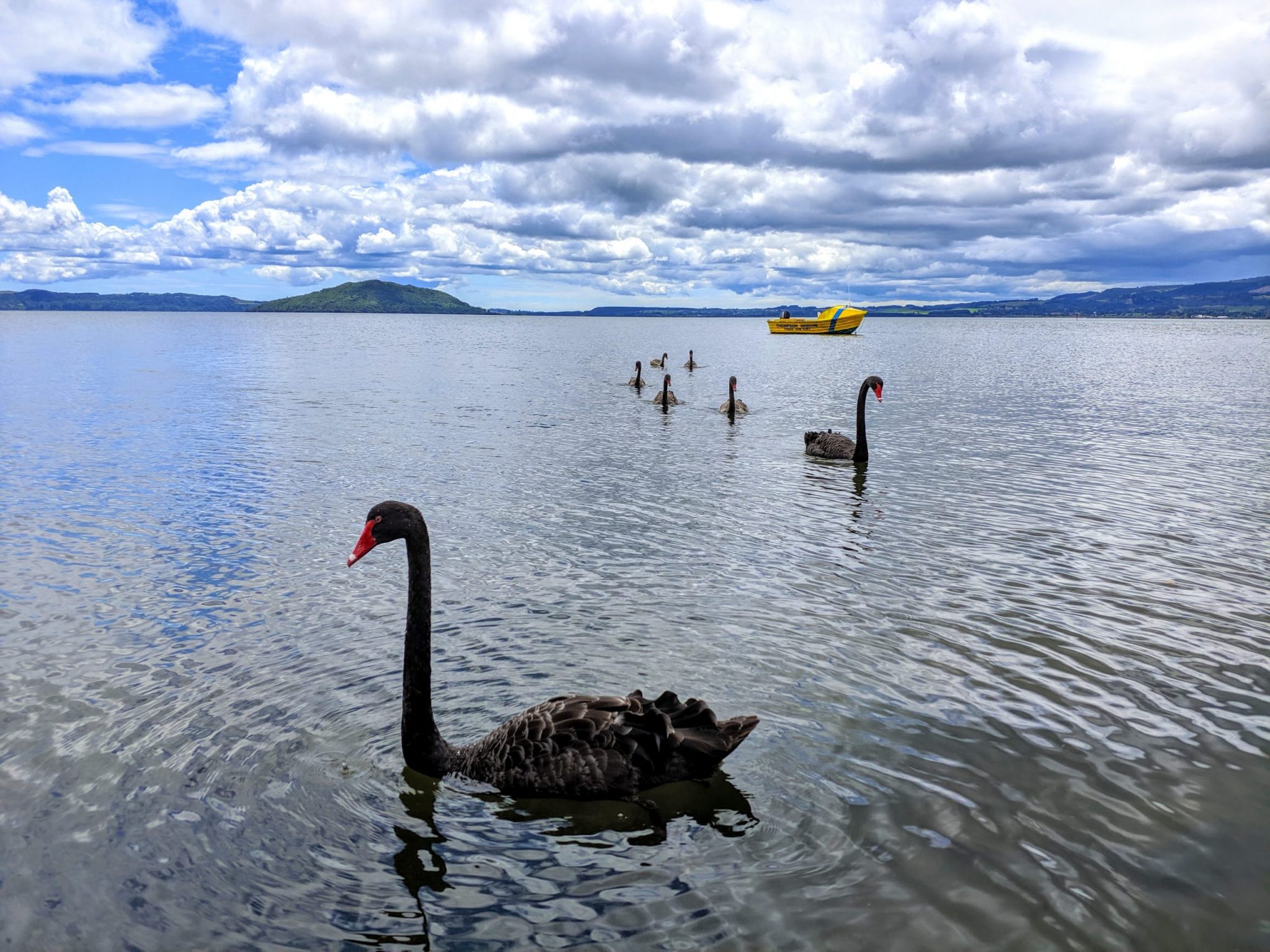 Rotorua a okolí