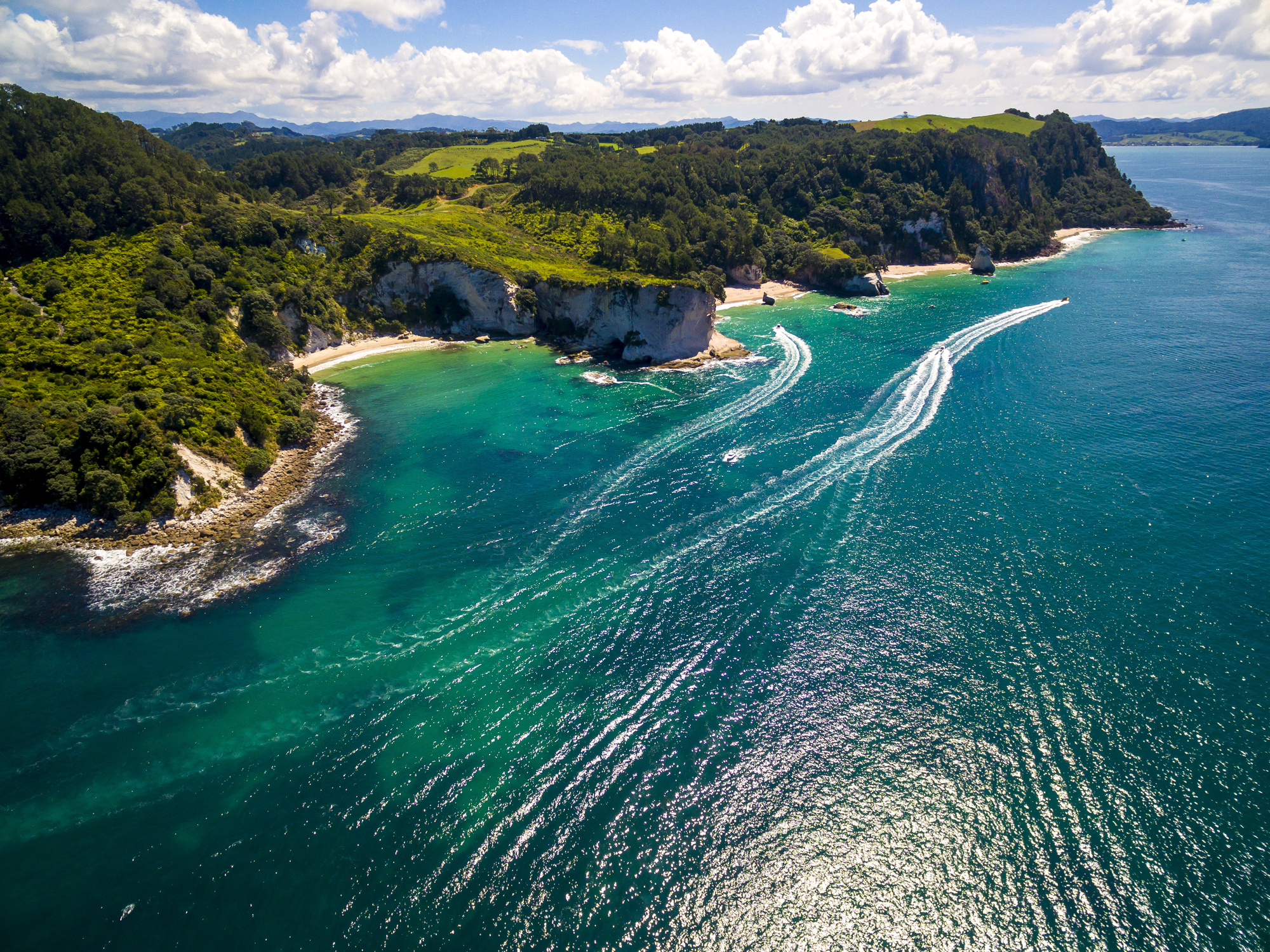 Coromandel 