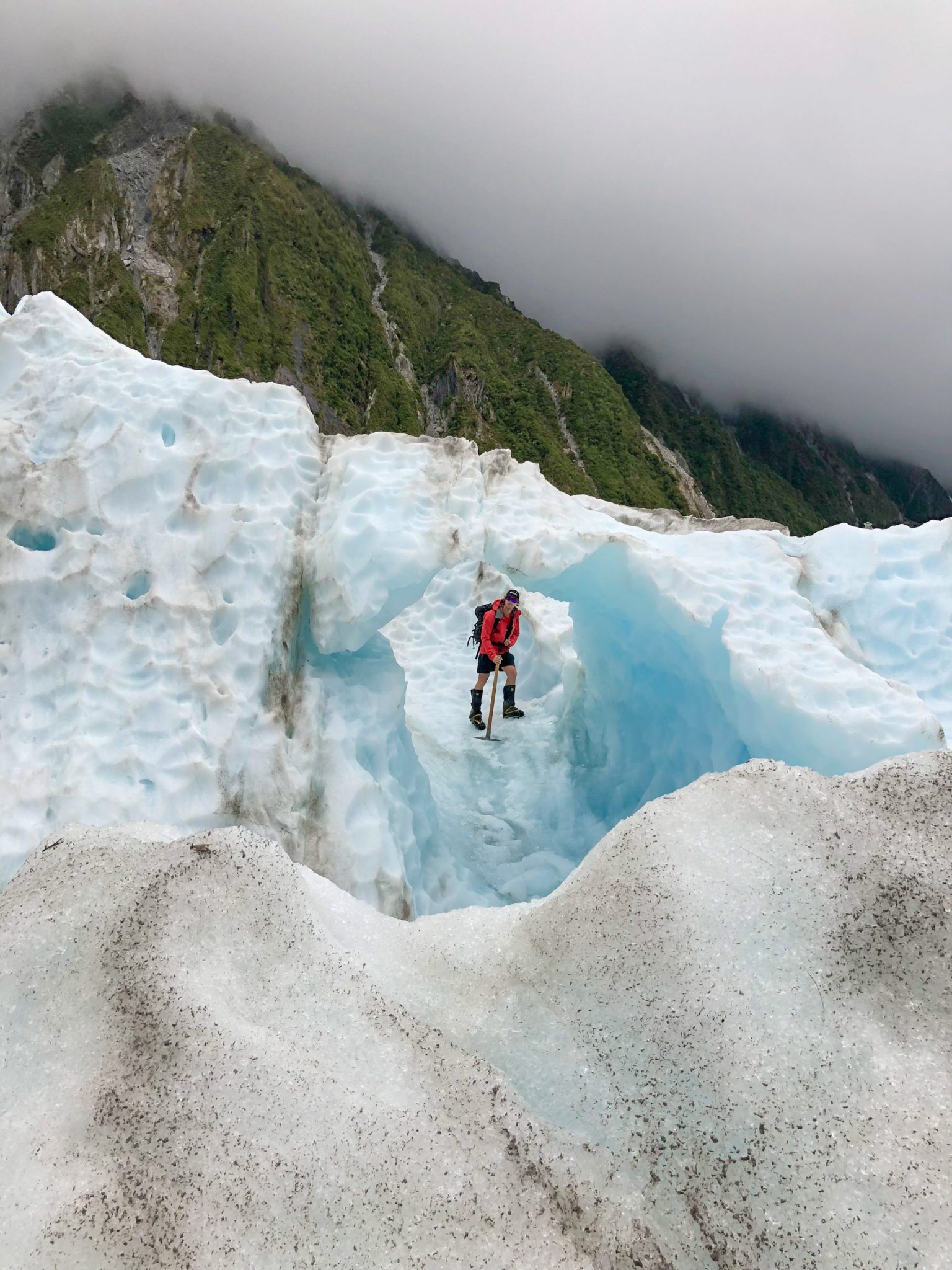 Franz Josef / Fox