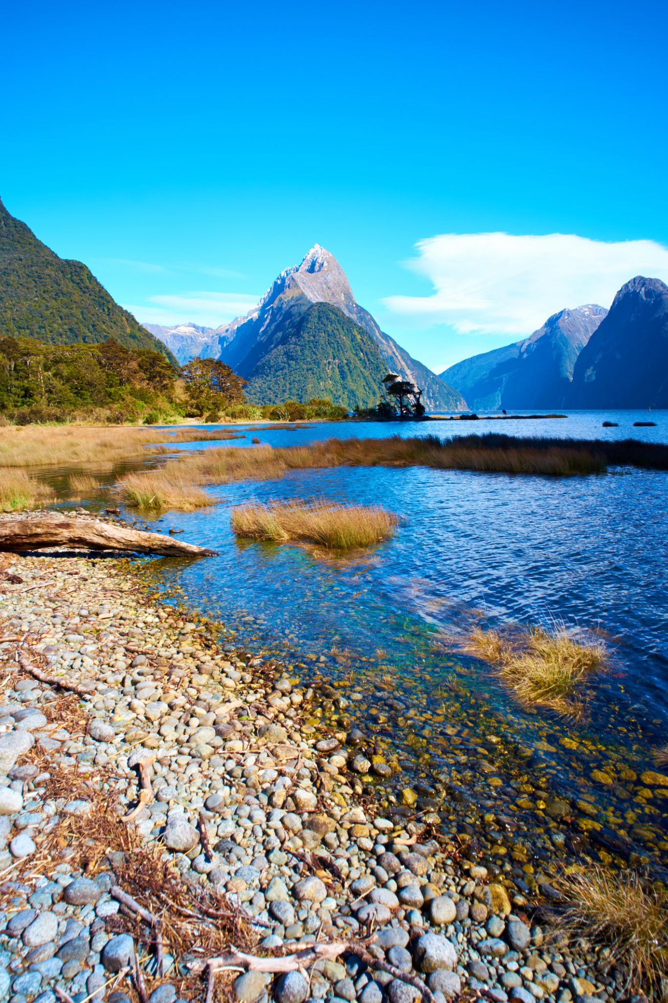 Milford Sound In New Zealand's Fiordland National Park