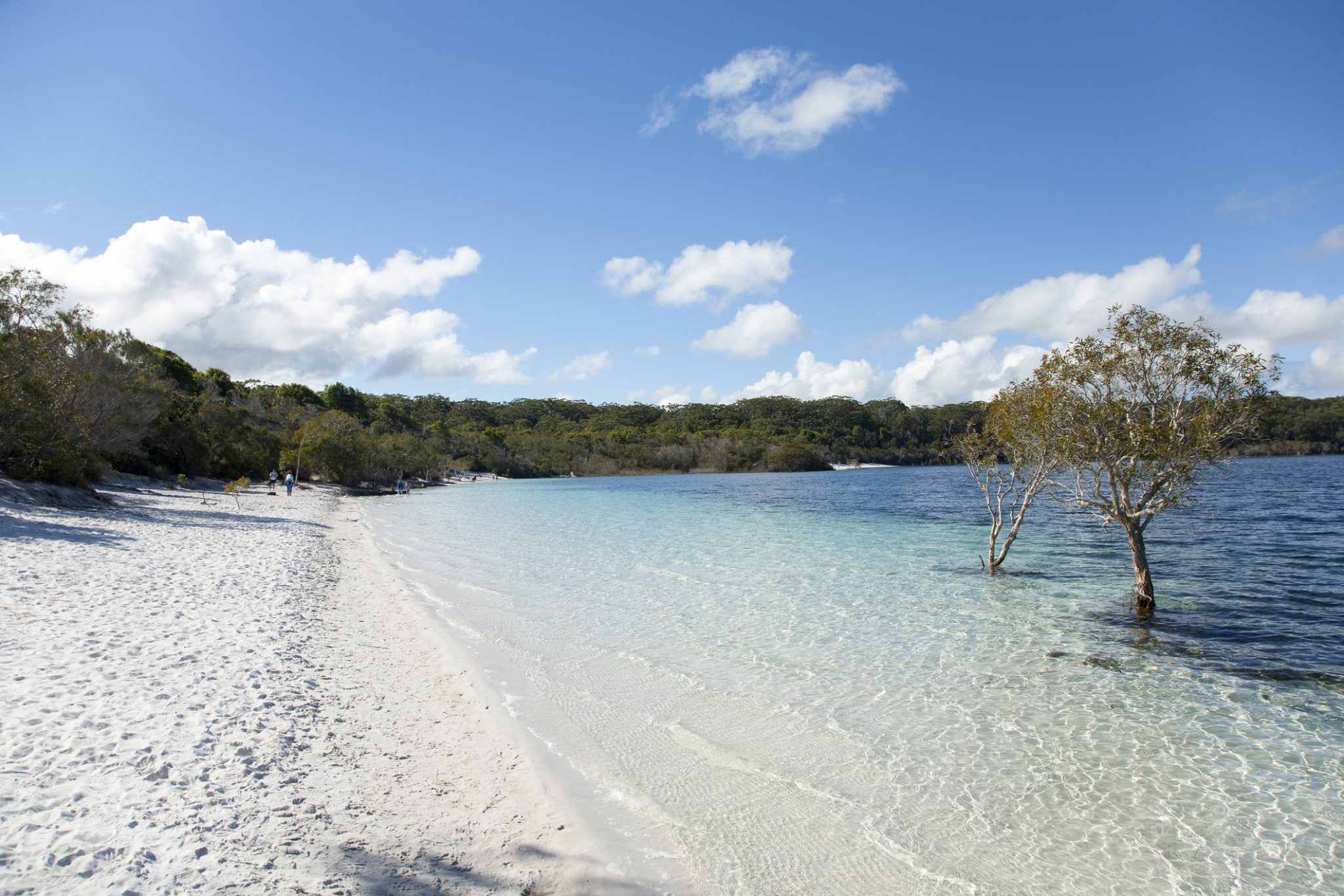 Fraser Island