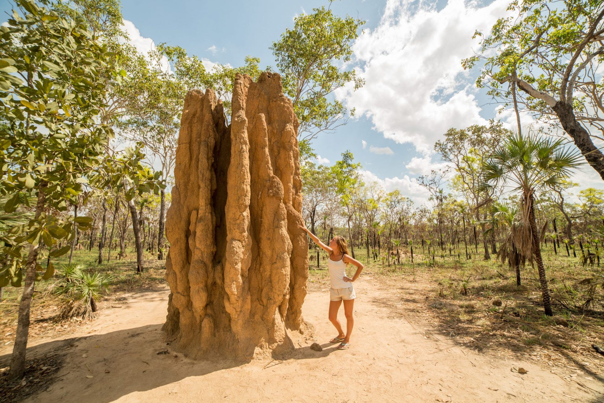 Kakadu NP