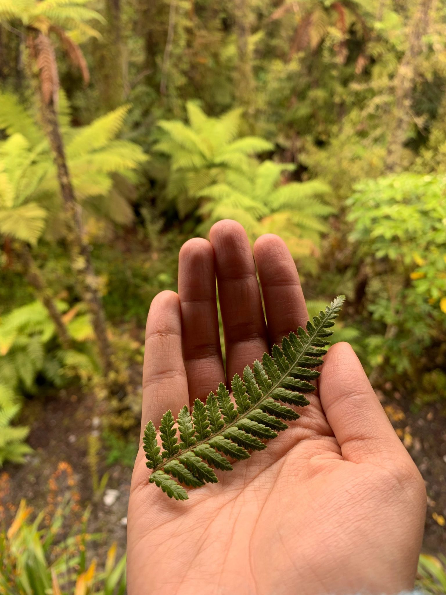 Hokitika