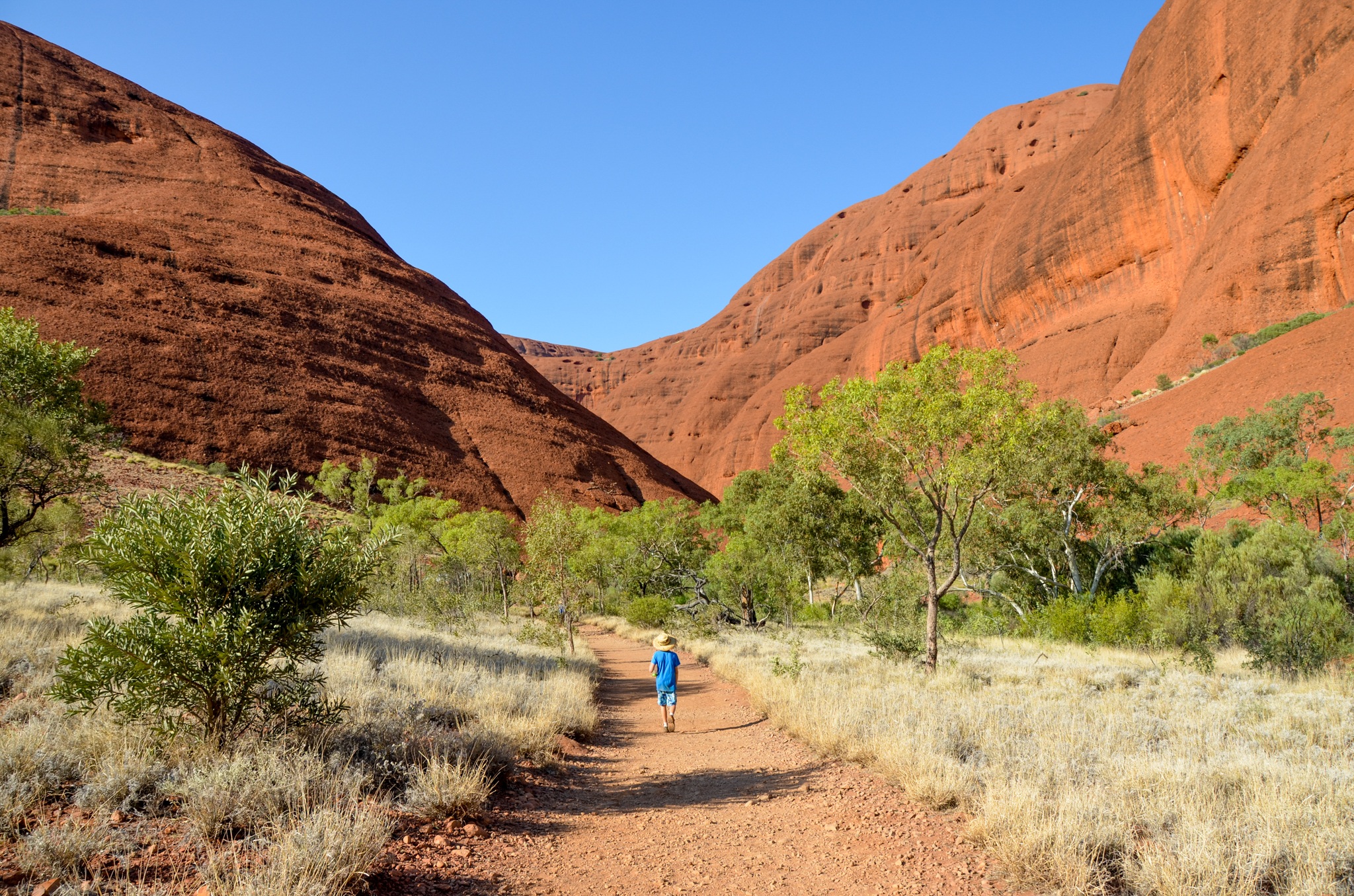 Uluru a Olgas