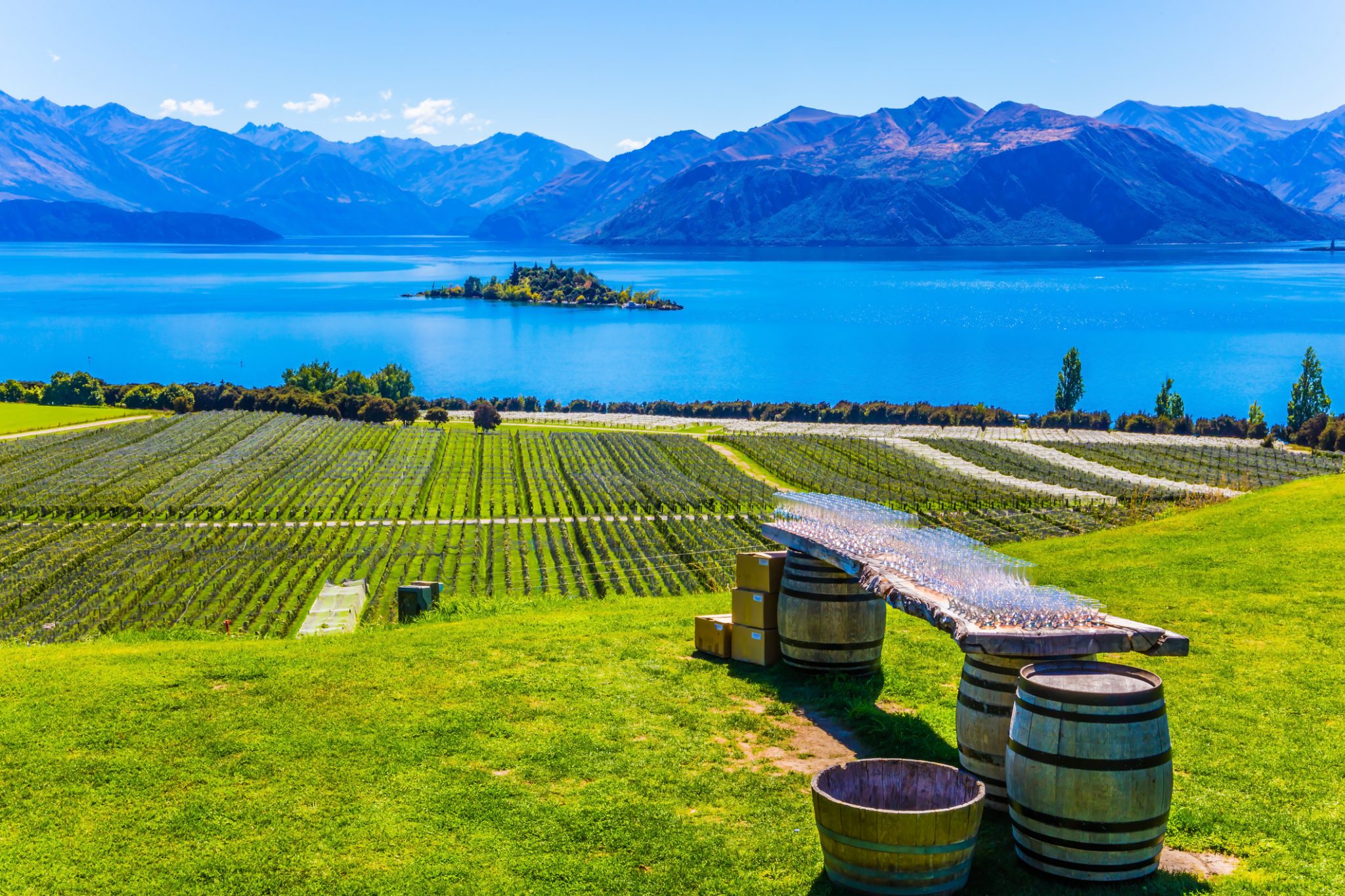 Vineyards on the shore slopes of the lake