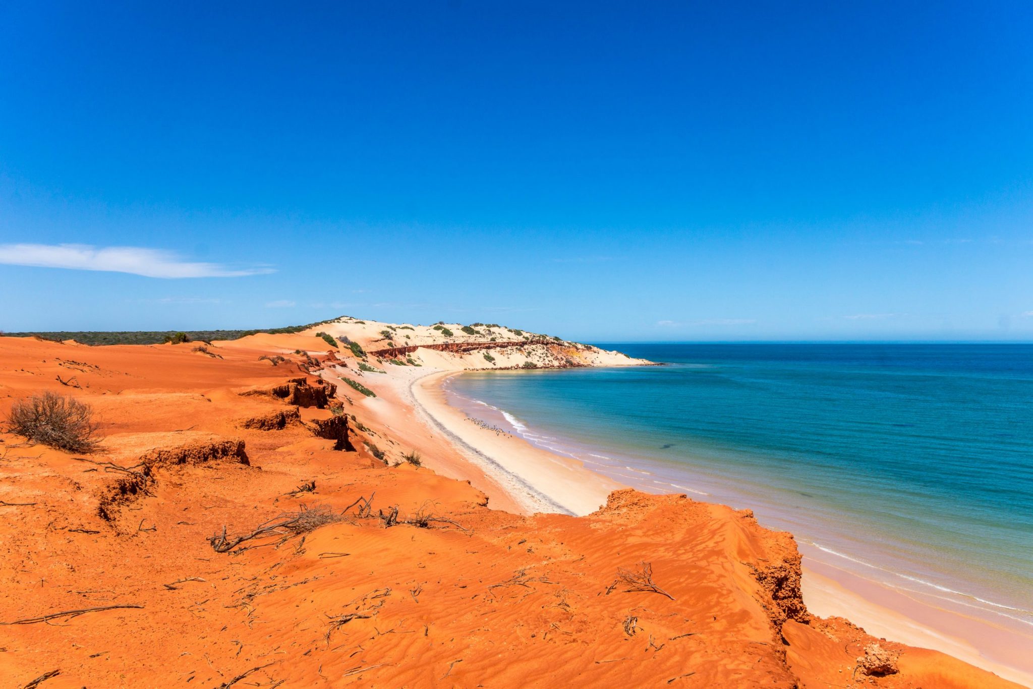 Ningaloo Reef - Exmouth