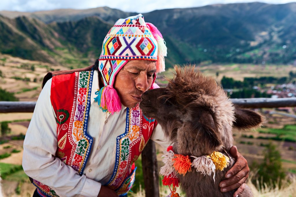 lide-peru-lama-1024x683