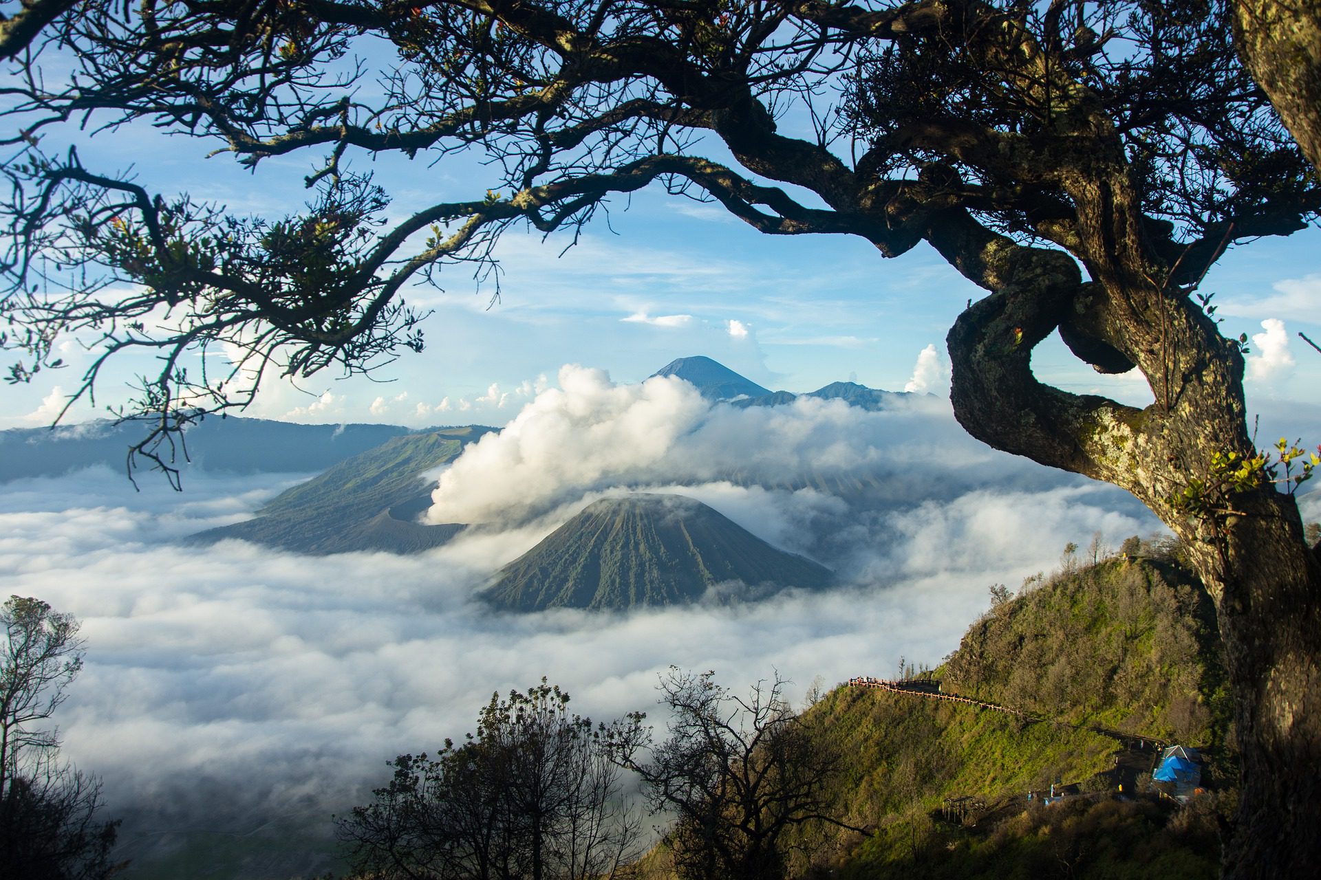 Bromo