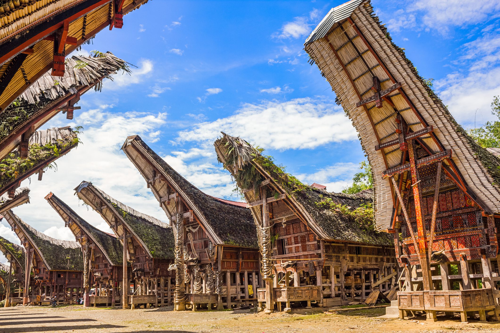 Tongkonans Torajan Ancestral Houses South Sulawesi Indonesia