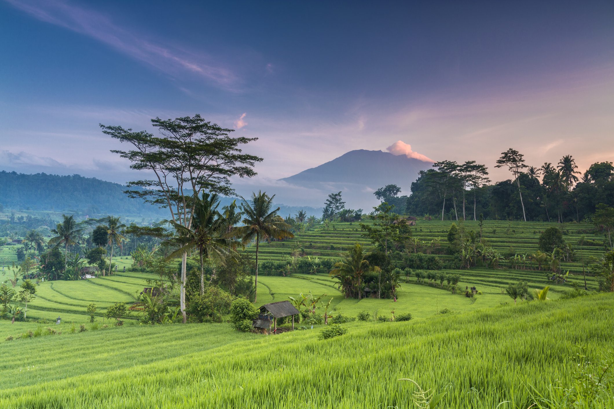 Banyuwangi