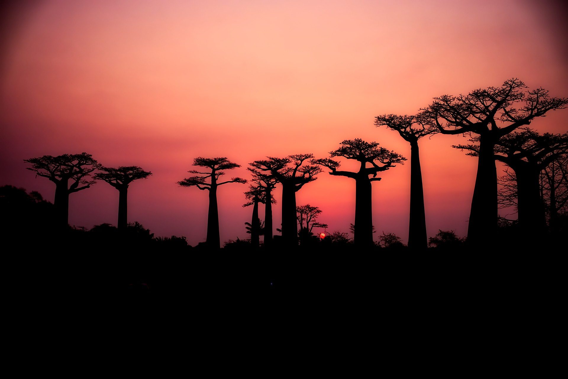 Morondava