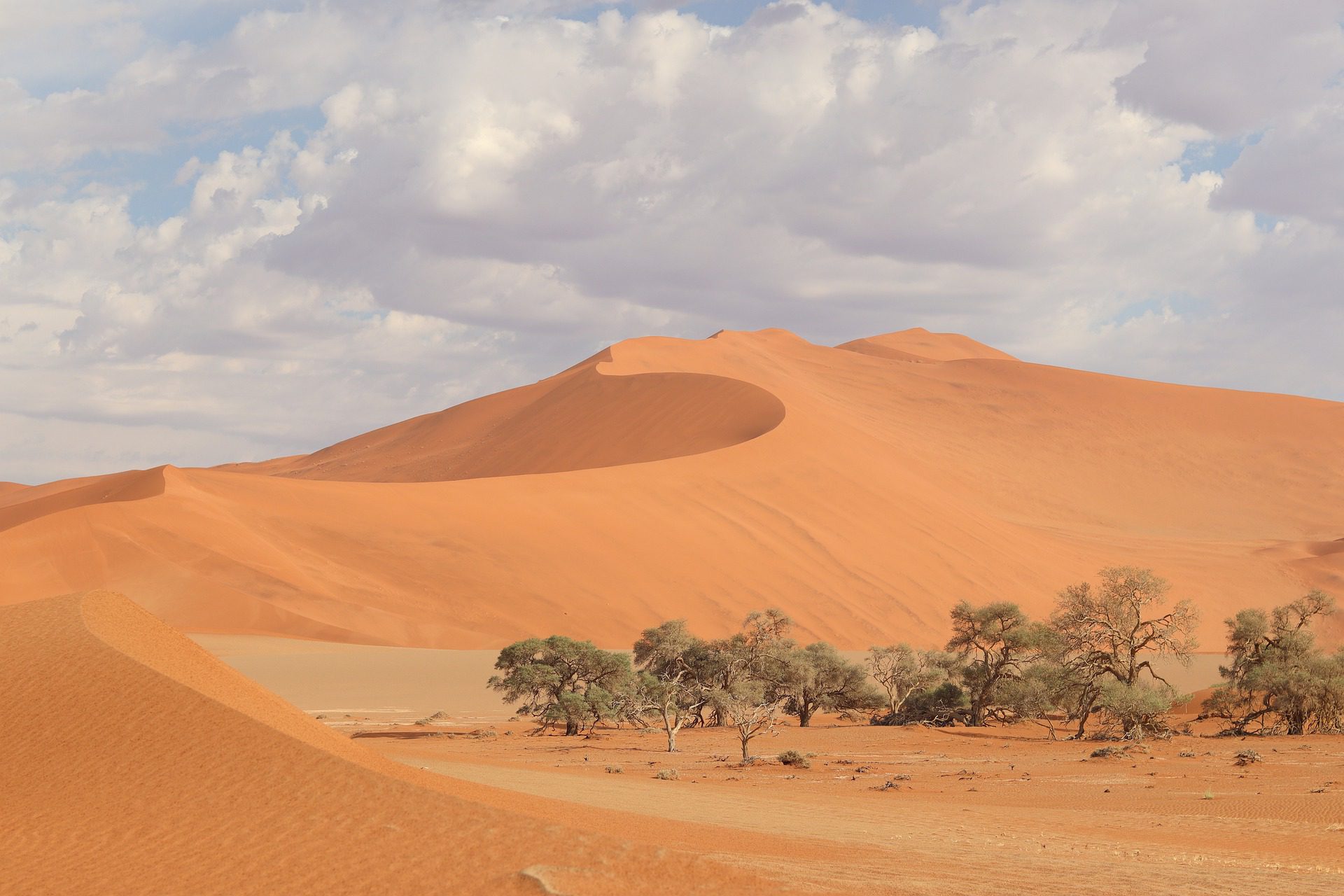 Region Kalahari