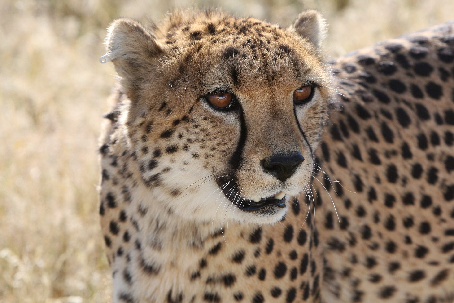 Namibie_2 (3)