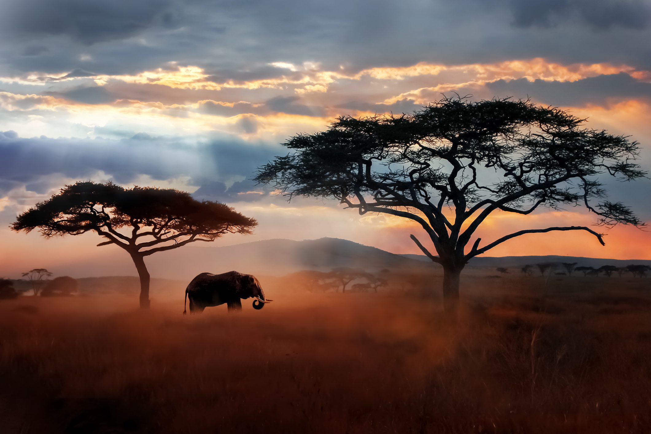 NP Ngorongoro