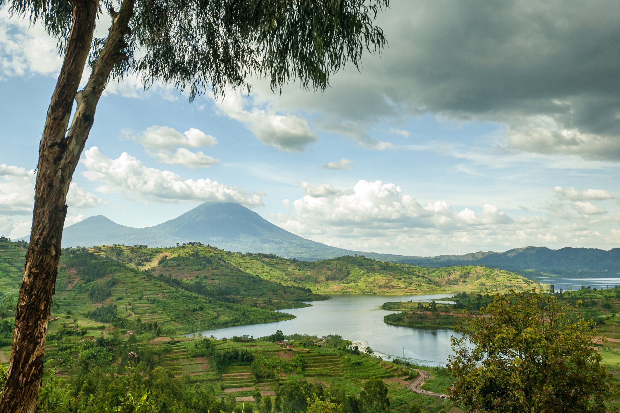 Landscape of the Virunga Mountains in Rwanda