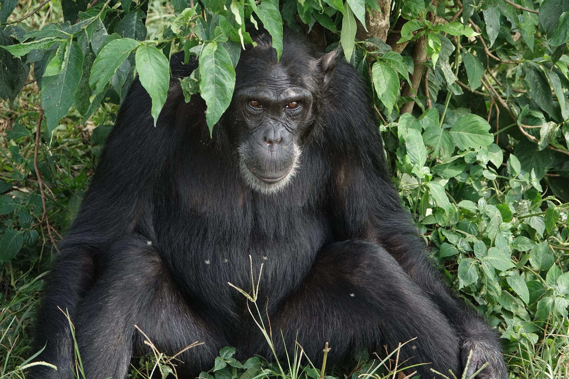 Fort Portal