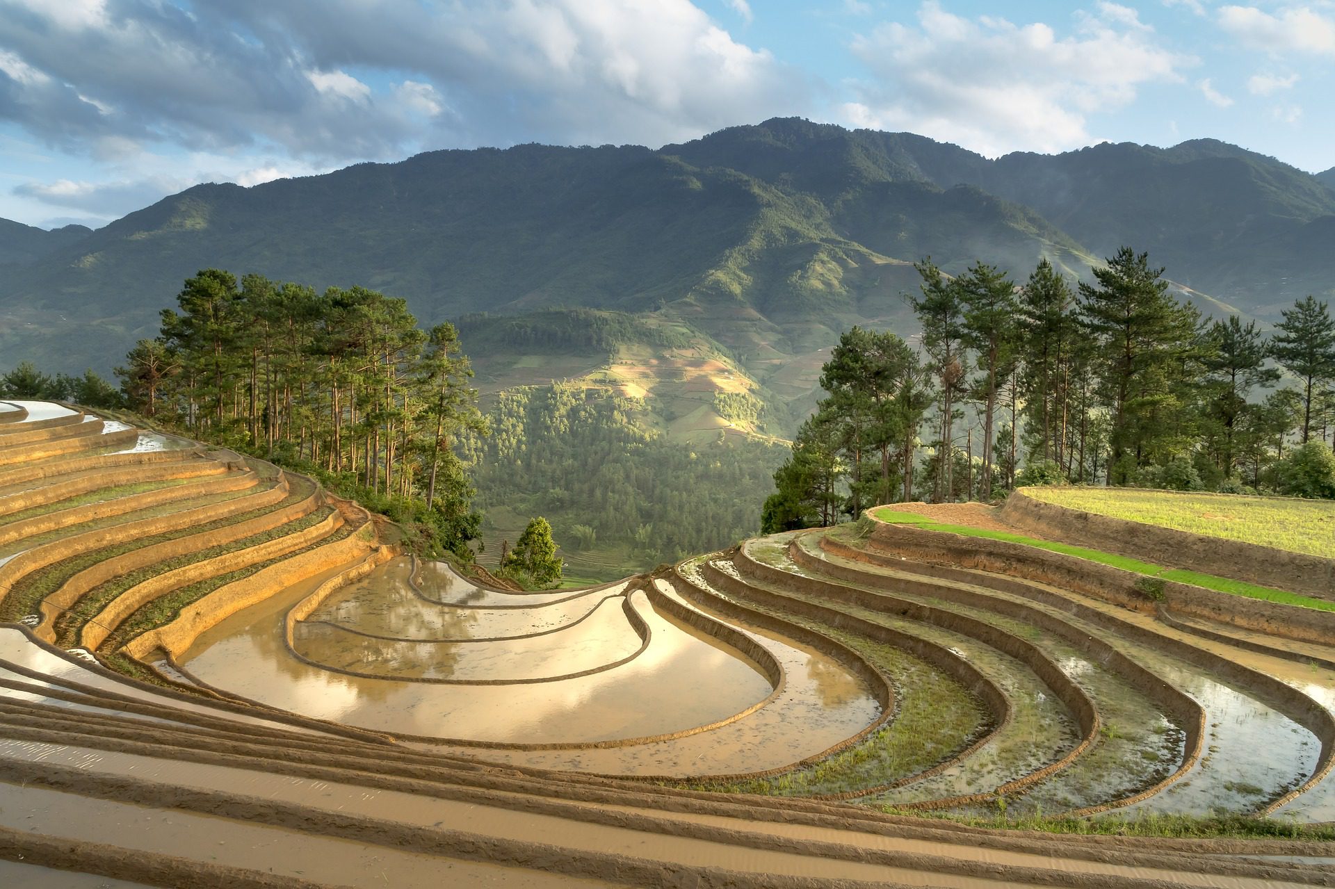 Sapa