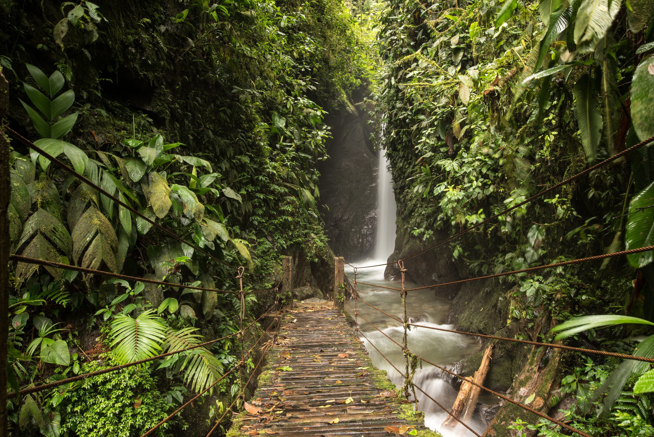 Waterfalls of the tropical rainforest in Mindo, Ecuador
