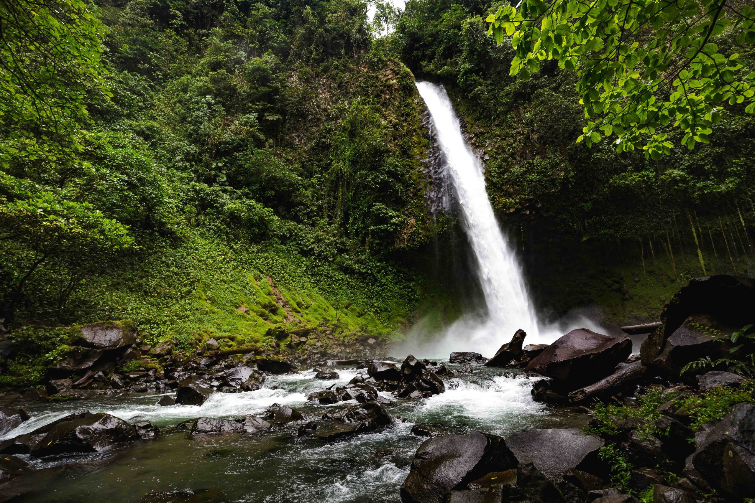 Arenal